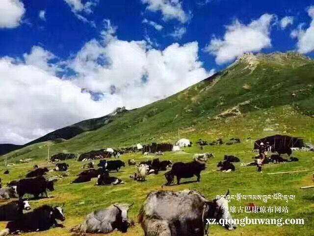 1501469103402000.jpg QQ图片20170731180447.jpg