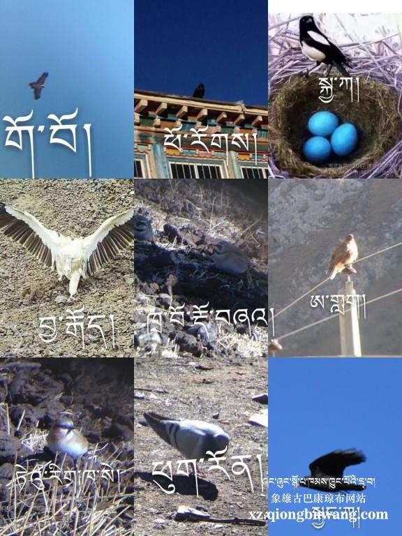 1516428237860009.jpg QQ图片20180120203921.jpg