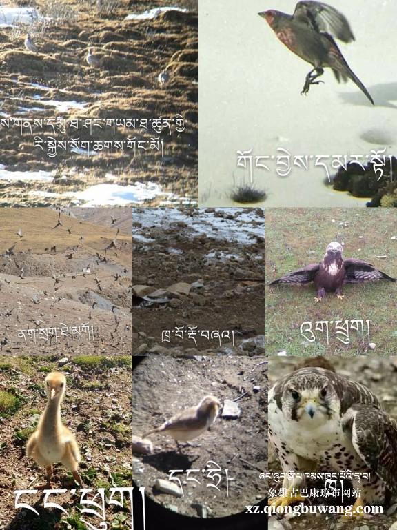 1516428252986842.jpg QQ图片20180120203925.jpg