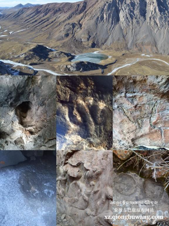 1516428261439472.jpg QQ图片20180120203928.jpg