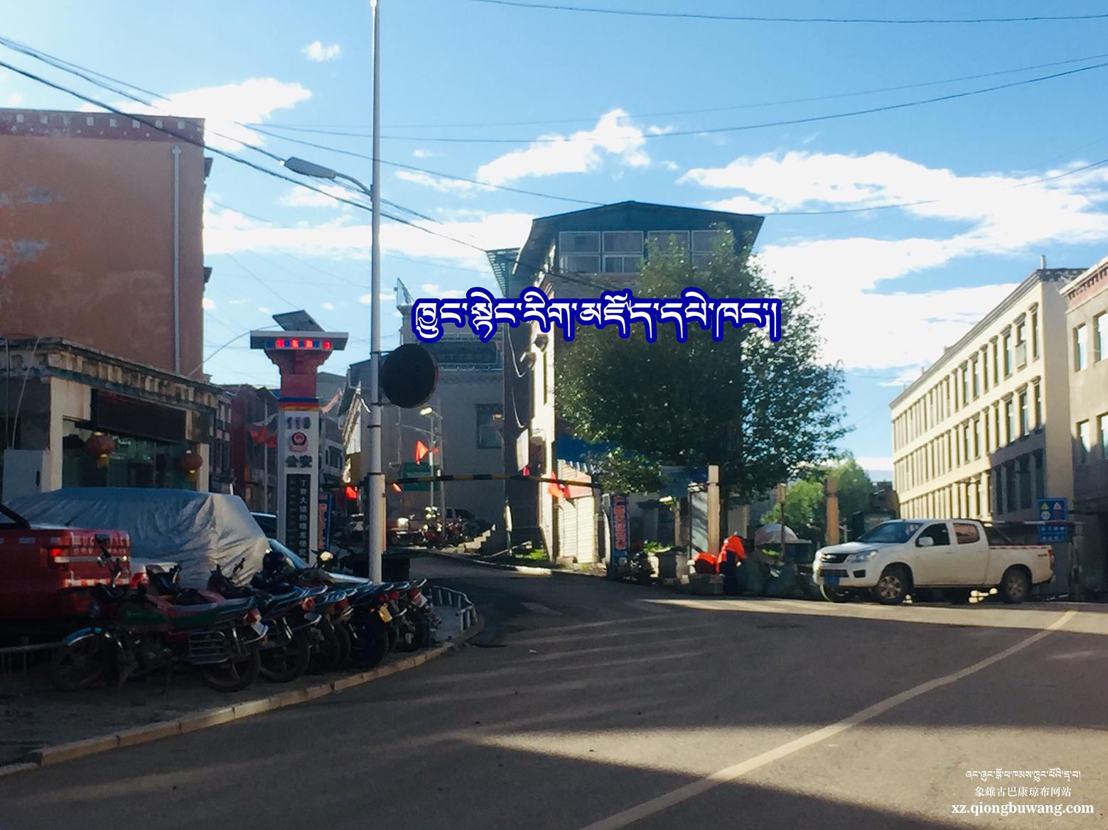 1566745986520356.jpg 99.jpg