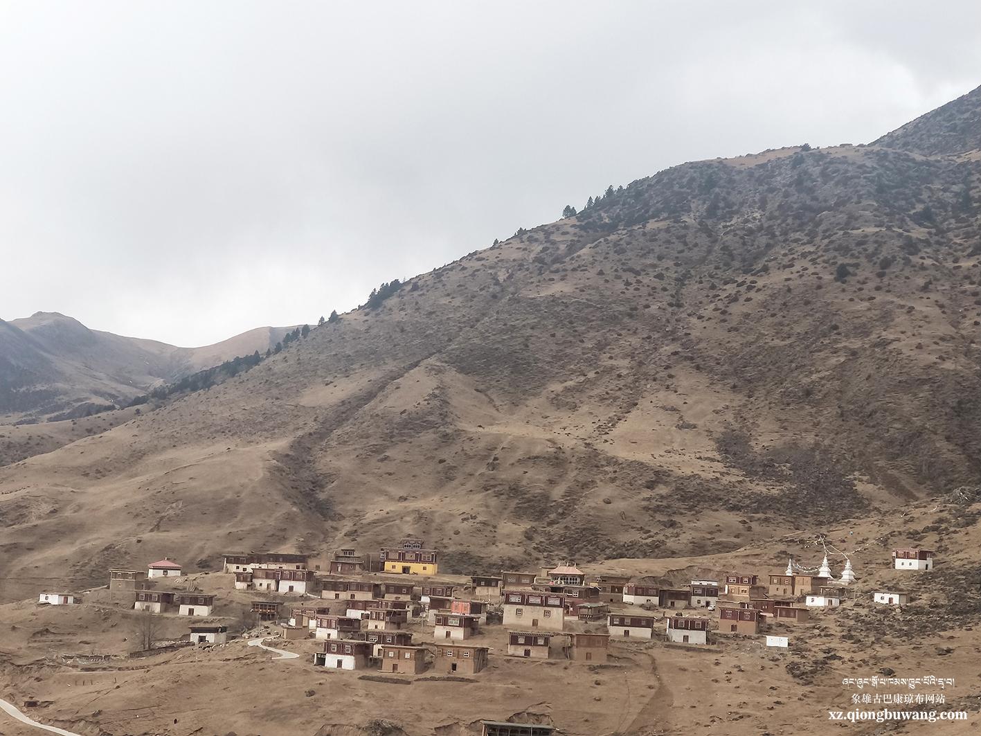 1610363102410998.jpg 1610363102410998.jpg